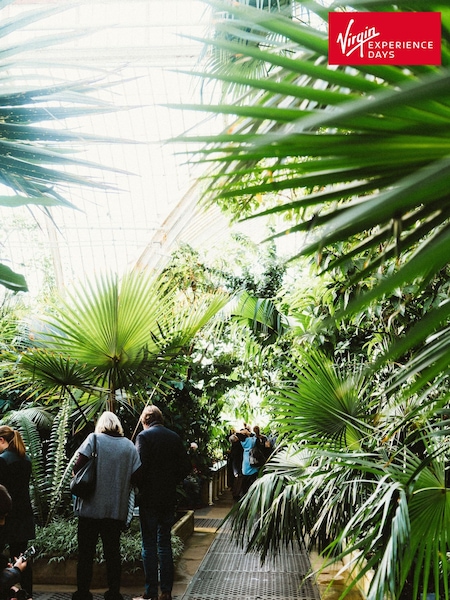 Virgin Experience Days Kew Garden Afternoon Tea for Two (A44545) | £71